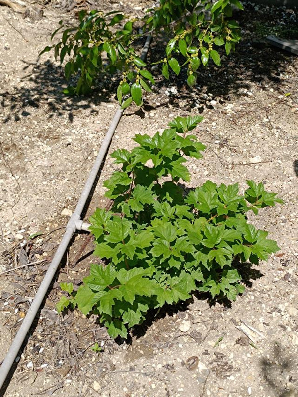 изображение_viber_2024-06-26_13-49-10-354