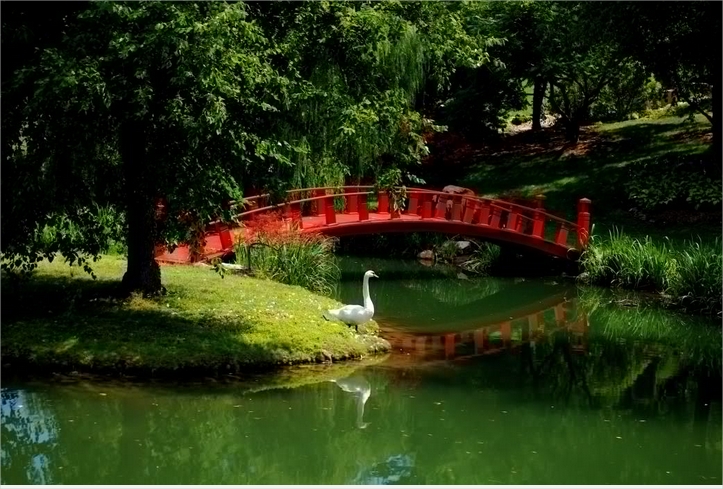 Garden-swan-river-bridge-asian-mood-JPG-