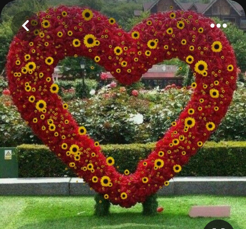 Screenshot_20230611_231913_Pinterest