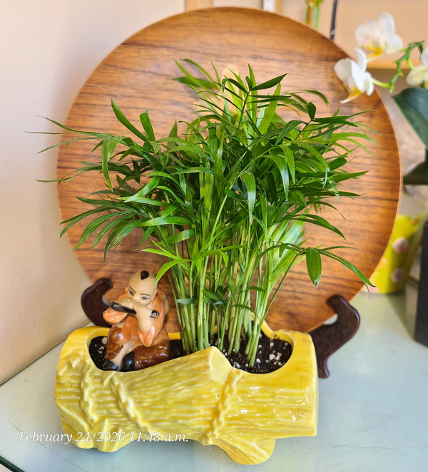 [Image: 20260224-114800.jpg]