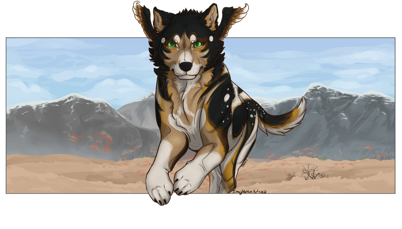 YCH_1_Win.png