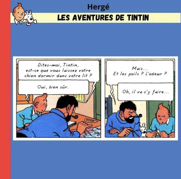 Les aventures de Tintin (détournement) - Page 3 2024-04-14-tintin-01