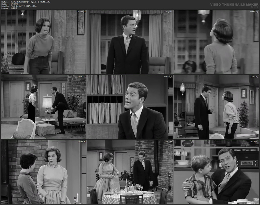 Dick Van Dyke S02E09 (The Night the Roof Fell In).mkv