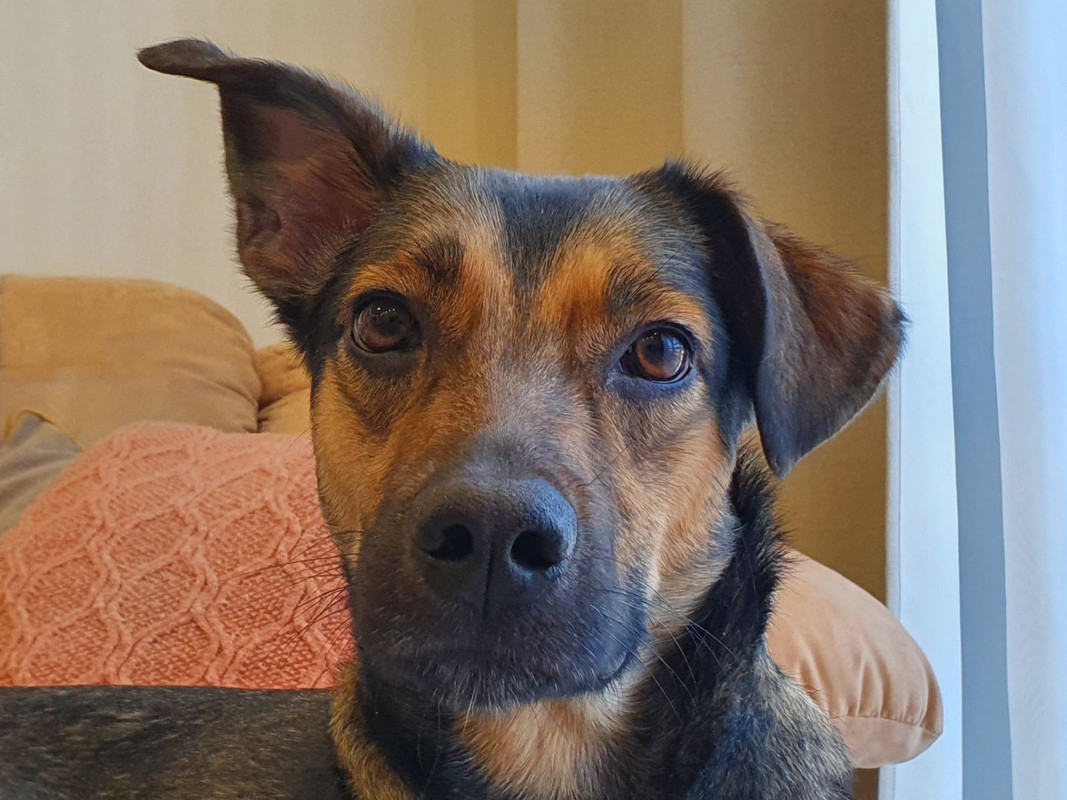 изображение_viber_2022-01-12_14-11-50-543