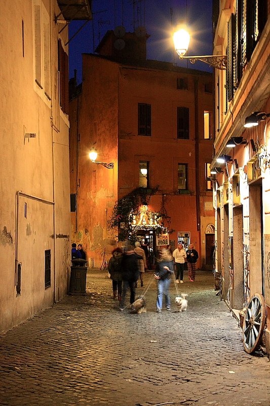 La mia vita. Римские записки, дневник онлайн