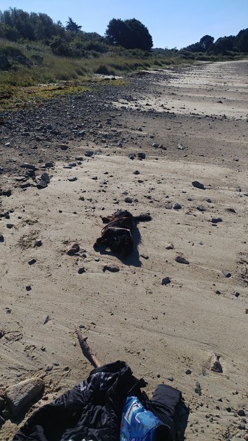 [Image: Rouli-Roula.jpg]