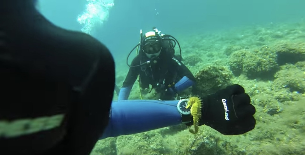 922022D4-CB85-4F1F-BA38-8518352DD0F2