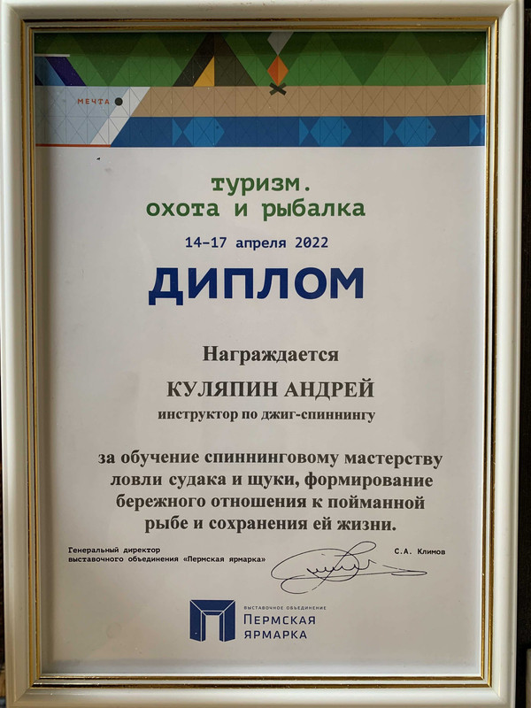 2022 диплом  джиг головка купи лучший спиннинг катушка Куляпин ловля рыбалка судак щука обучение (2)