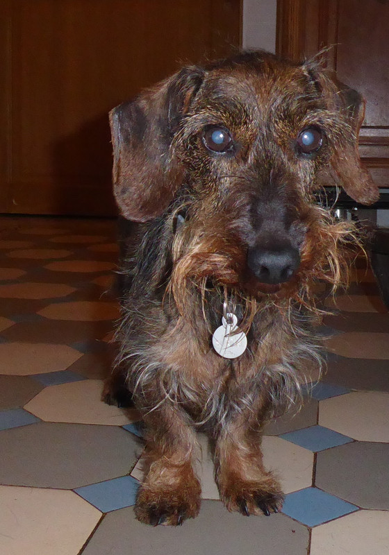 [Image: P1030354.jpg]