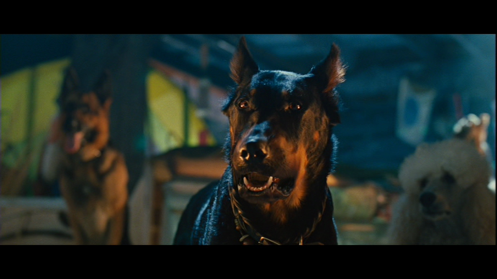 vlcsnap-2017-11-30-17h26m03s854