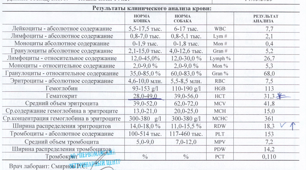Клин Анализ1405 1 — Postimages
