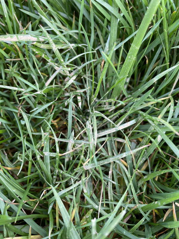 09B730E1-62D0-49DA-B44E-D3FFD8E685AF