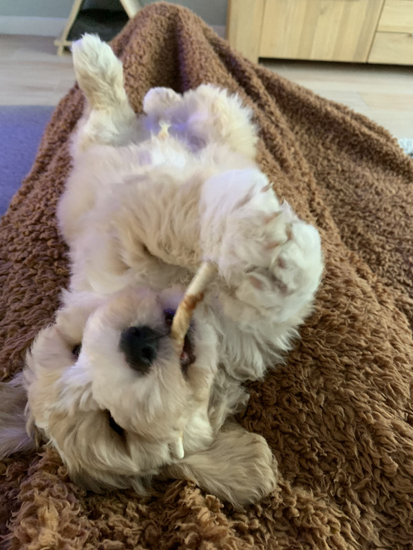 2F58E2B9-9B21-4E62-B8E2-1B0C19C2A642