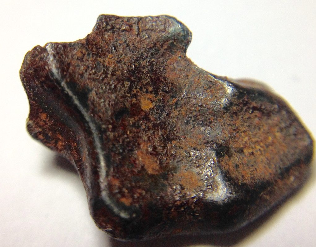 Meteorito siderito NWA 859 IMG-5404
