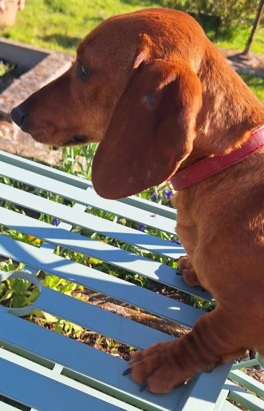 [Image: IMG-20250409-175834.jpg]