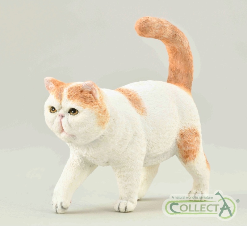 STS Figure 2021 Farm Life Figure of the Year! Collect-A-Exotic-Shorthair-Cat