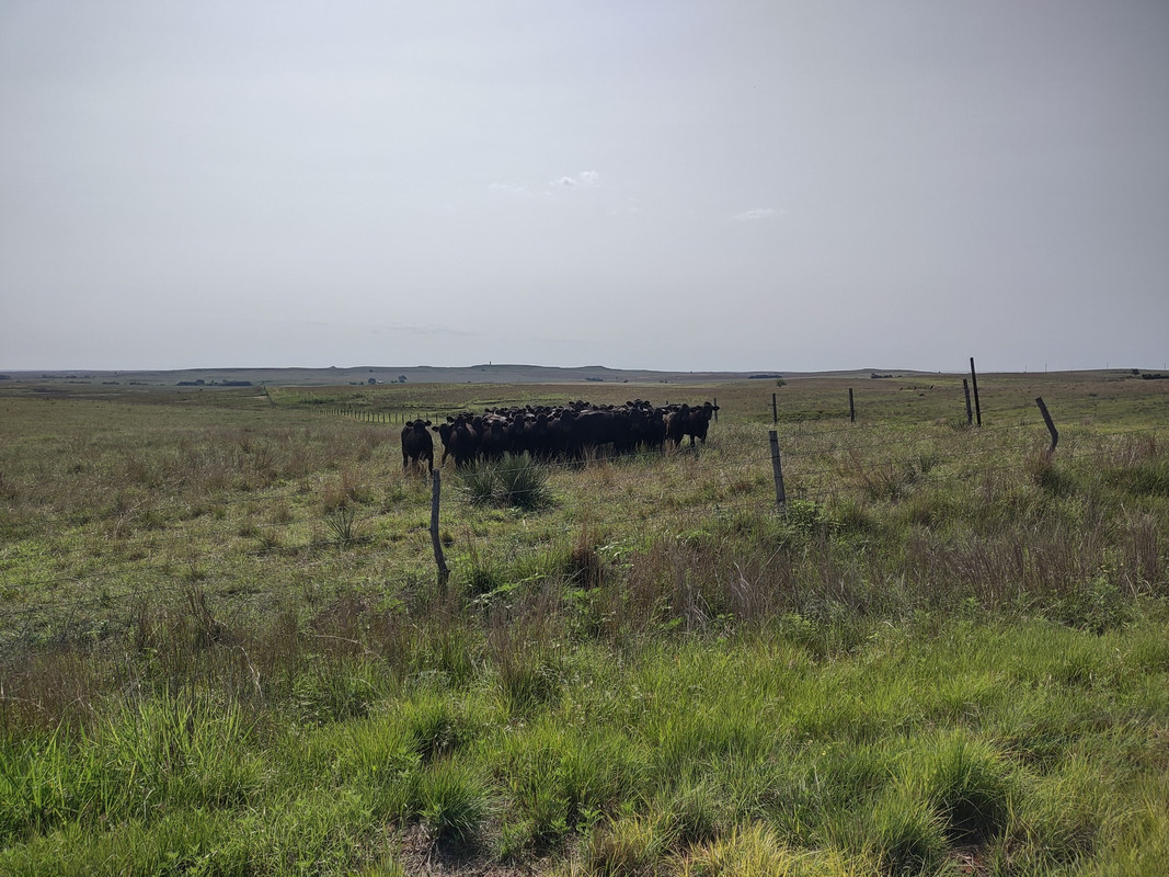 IMG_20250531_101515517_HDR