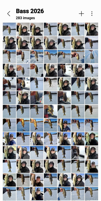 Screenshot 20260322 123700 Gallery
