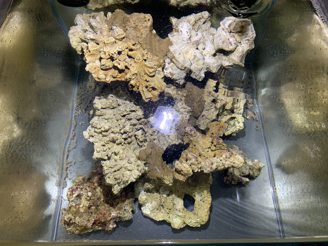 B1B5F1AF-E764-4E23-81E3-2F49E25C9749