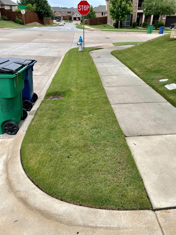 Inkedthumbnail_IMG_1448_LI