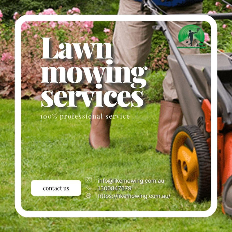 lawn mowing 2