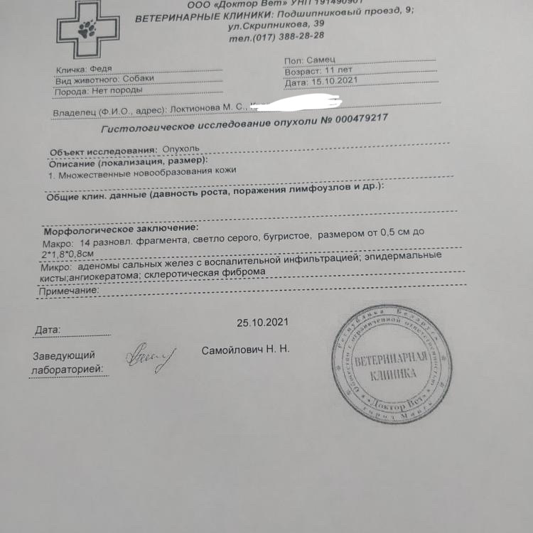 26C019BD-FD7B-4E34-B738-BCFE7965C877