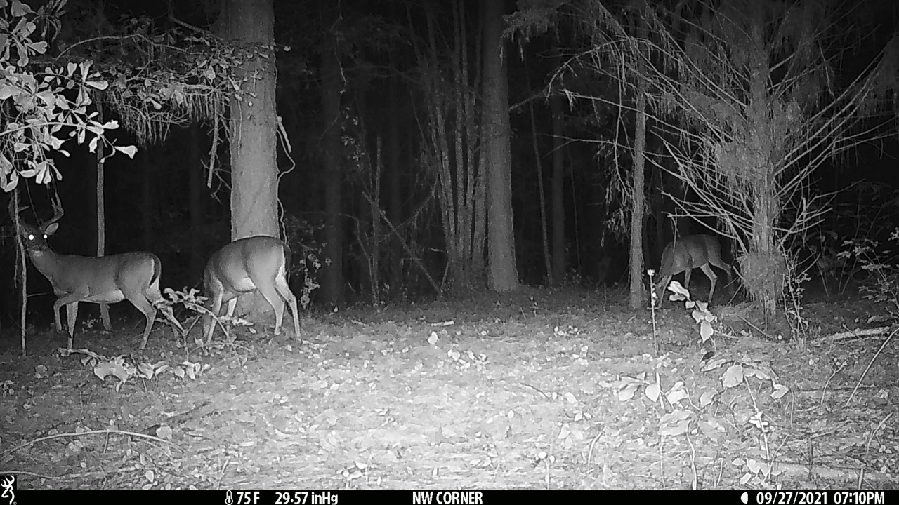 606F57BA-9C9E-42D1-820A-D2FD770F0C51