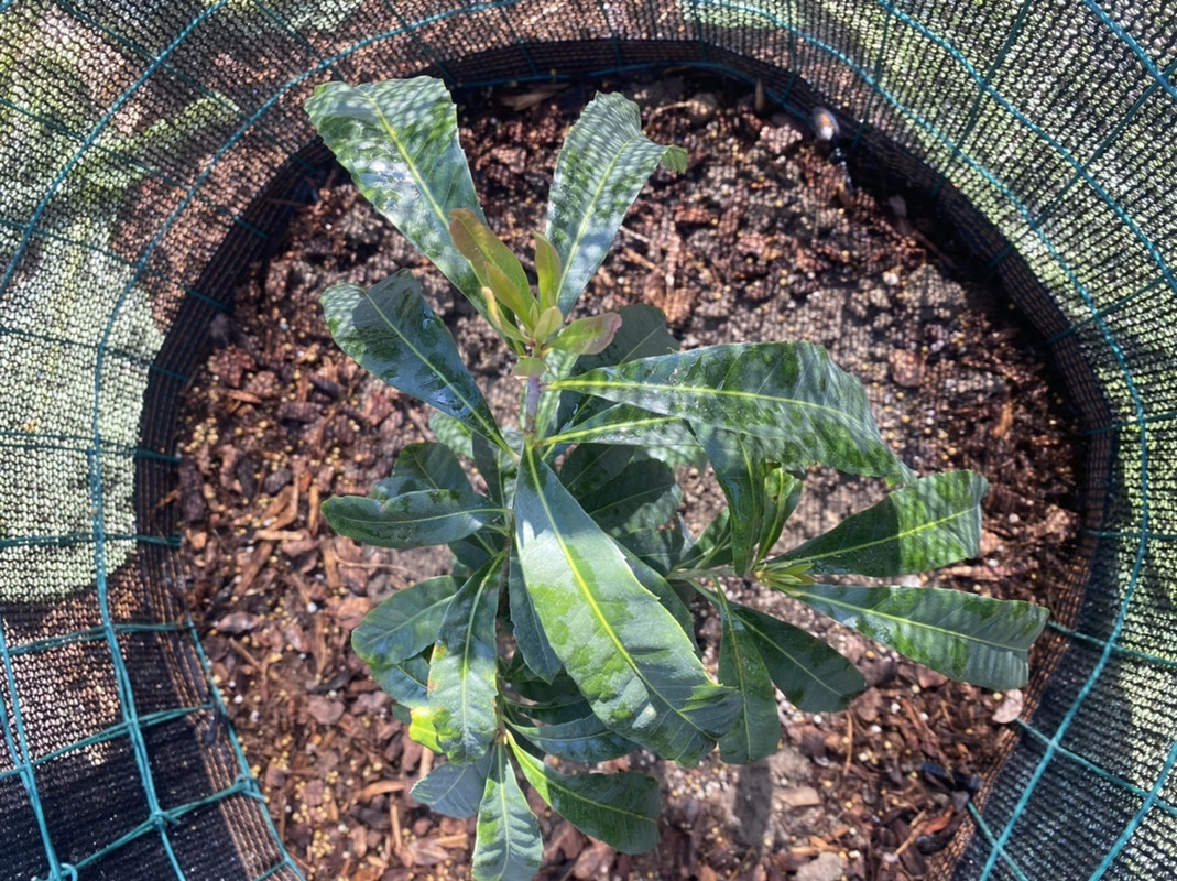 708BEC73-FC63-49D7-8696-ABA1866AC58A