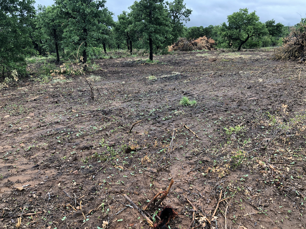 9B58E3DC-8E82-4F5E-BFD4-C01E40B6C2B2