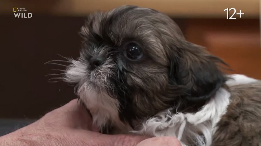 [Image: qk5x4sgzlb56.jpg]