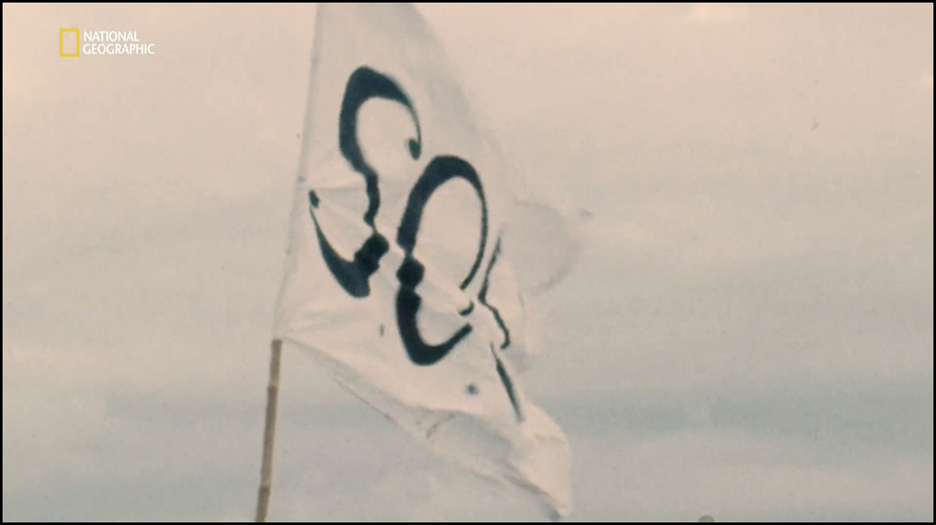 [Image: jy0mrh4v7e8a.png]