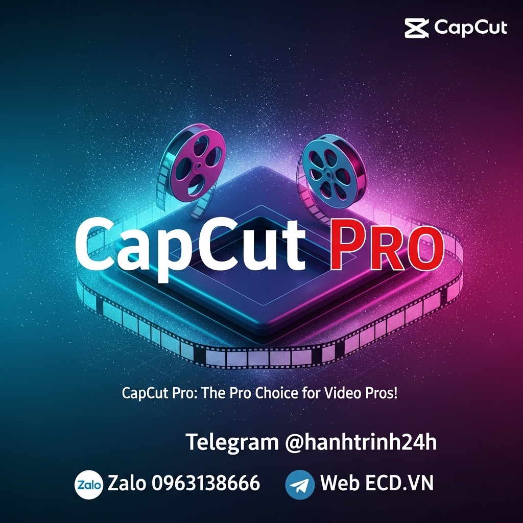 pay later capcut influencer