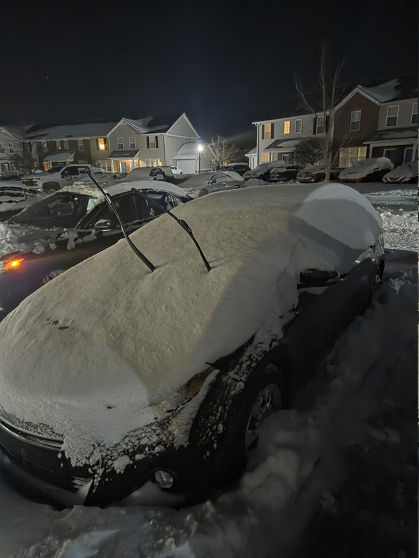 [Image: 20260125-190812.jpg]