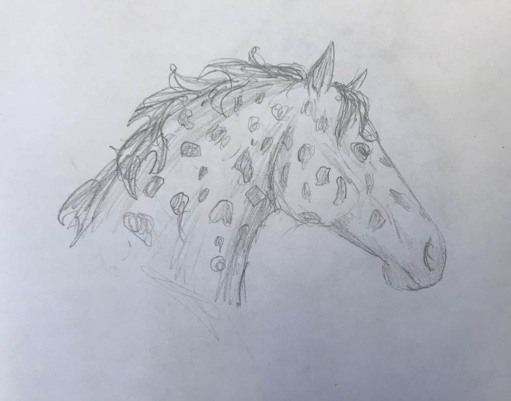 19ECCDA3-27A1-46C1-8D89-D1CB1FBF451B