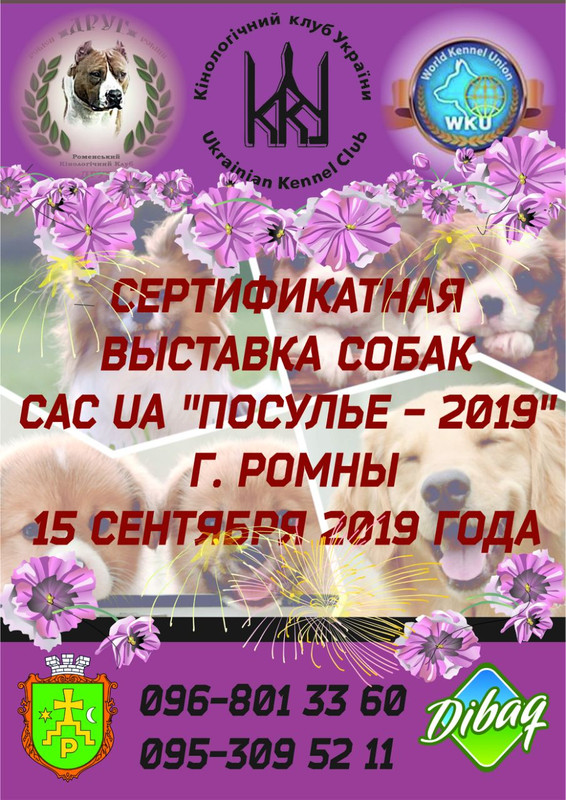 IMG-b79286fc6759a6d83bcdbcf063b7bbf6-V