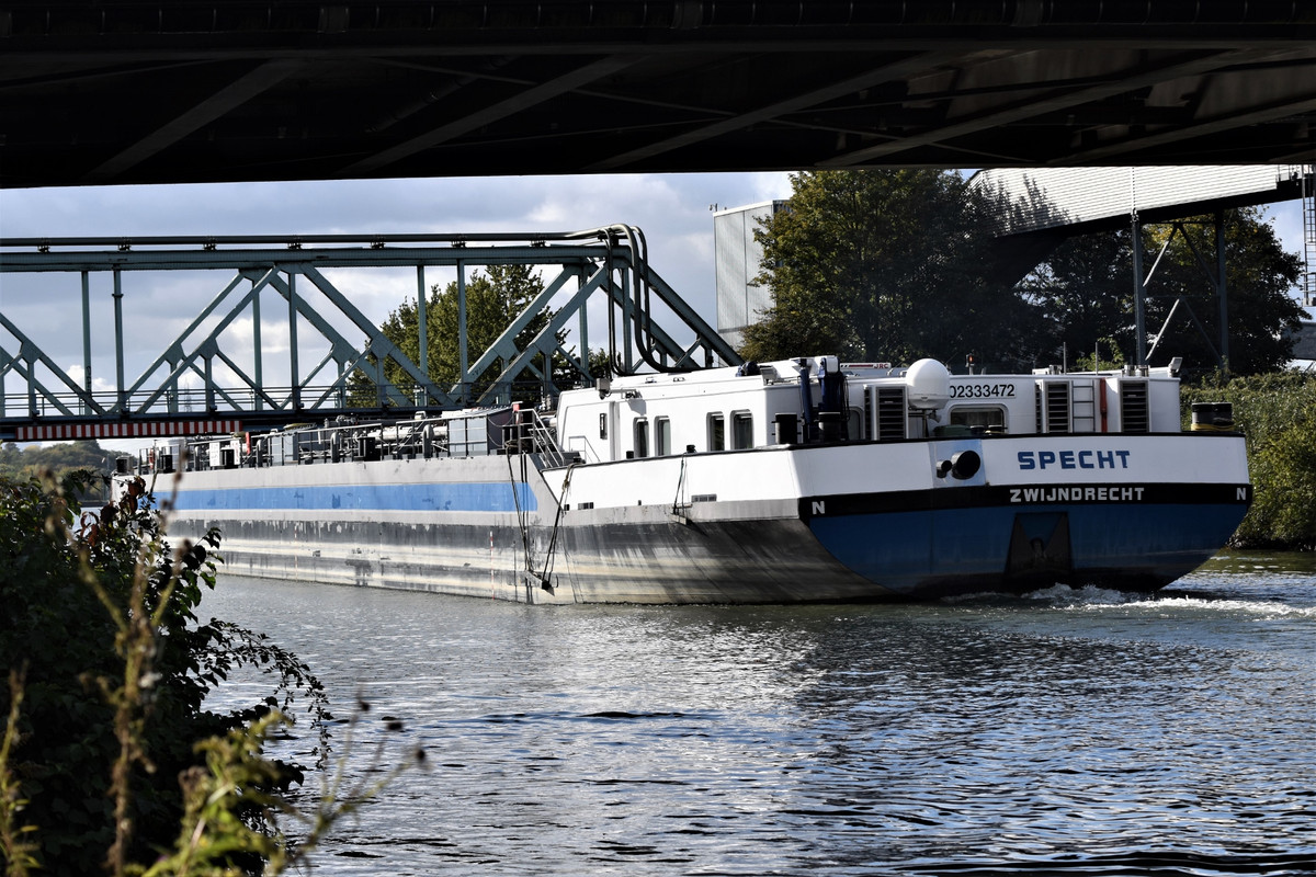 2021.10.15ce Specht (1940x1293) (1940x1293)