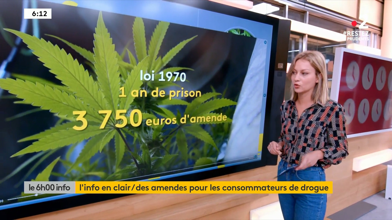 2020-06-17_06_00_Fr2_Le-6h00-info.mp4_snapshot_17.51.710