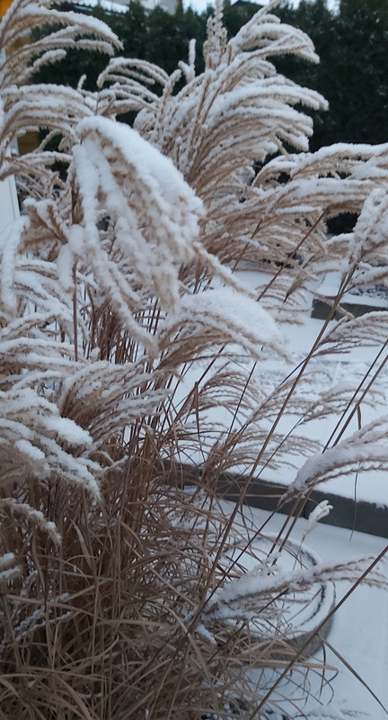 20211203_153041