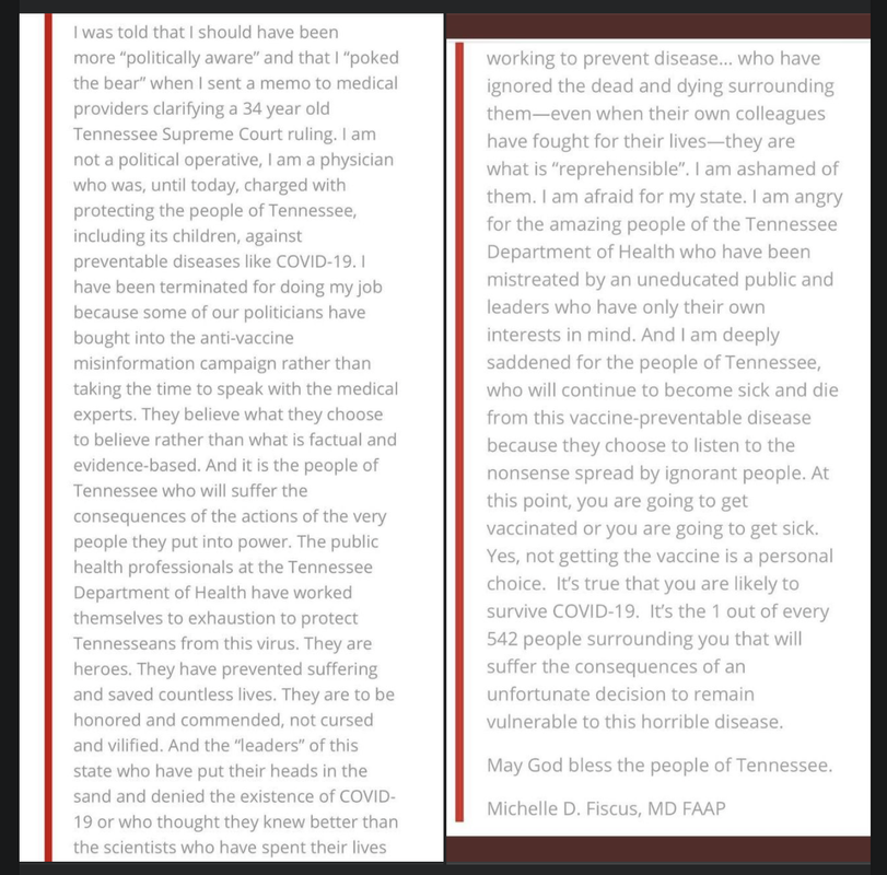 Screen Shot 2021-07-13 at 3.01.12 PM