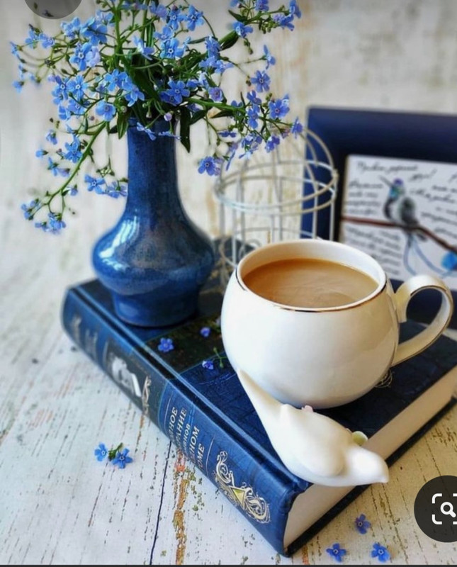 Screenshot_20230415_232309_Pinterest