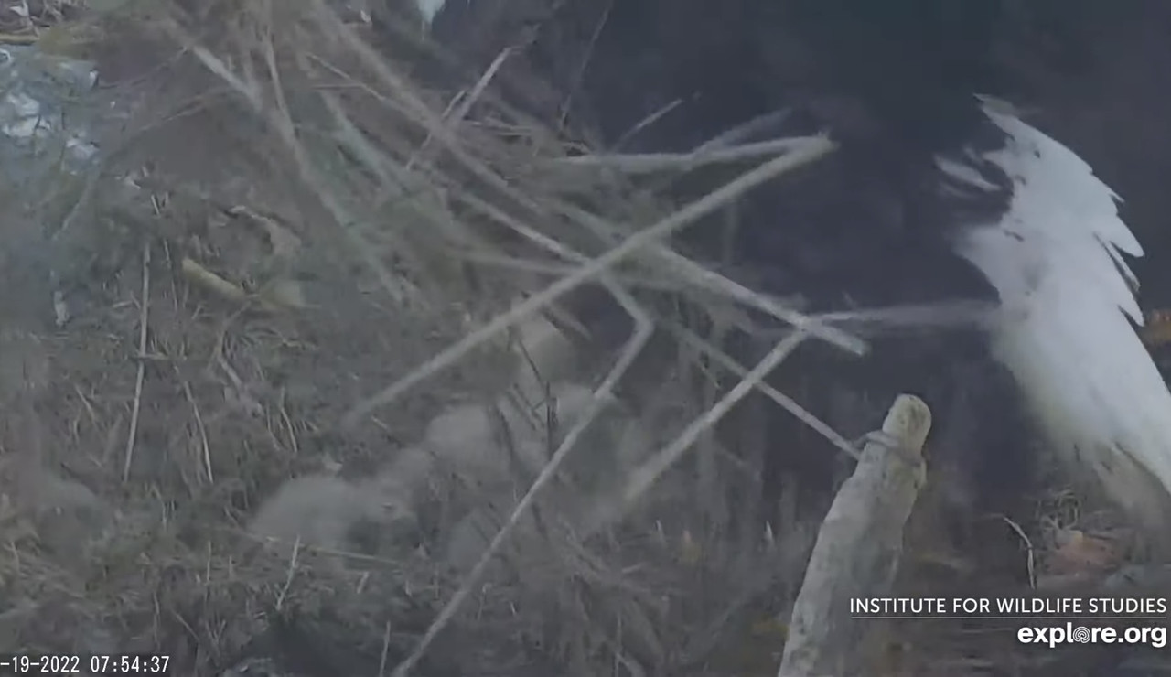 211BED00-F660-4248-8158-69A1BA404C9D