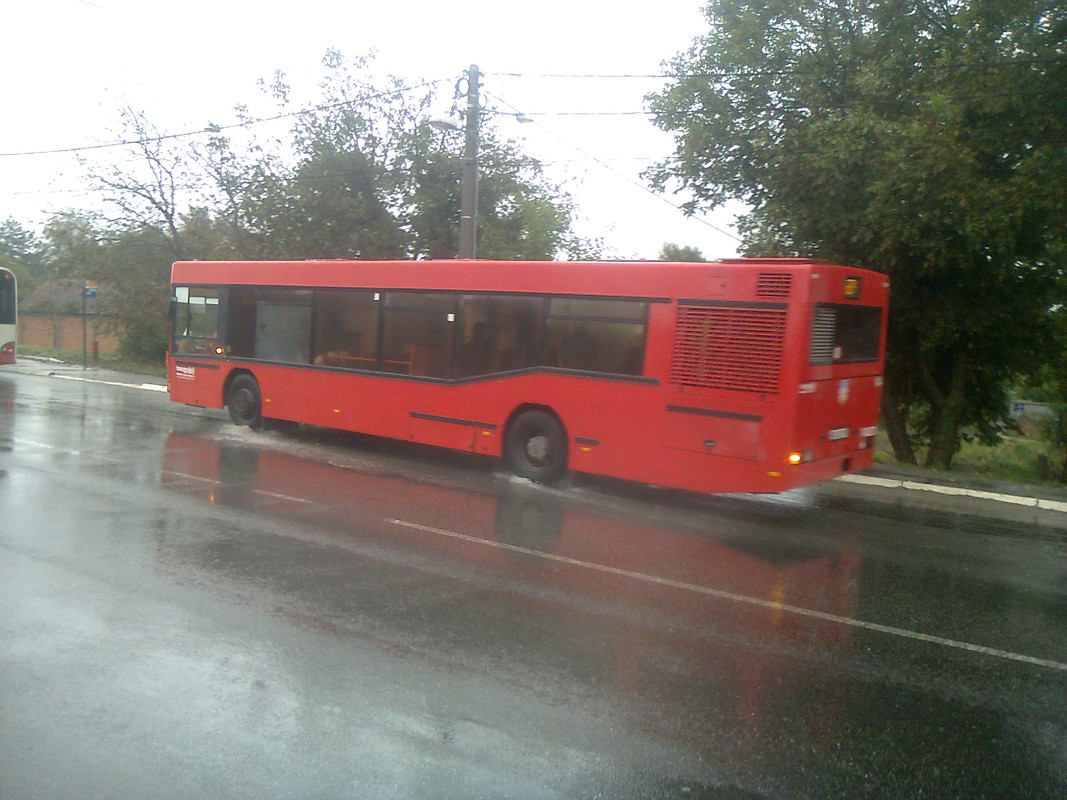Slika50985