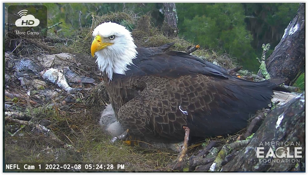 Screen Shot 02-08-22 at 11.25 PM