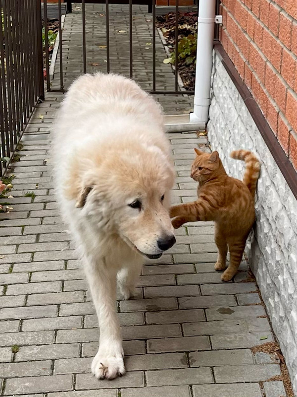 FBBBDC6D-09E4-45D9-9767-5730F1FA934C