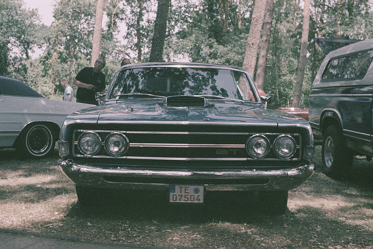 52264555866_6e26f7a9e7_o