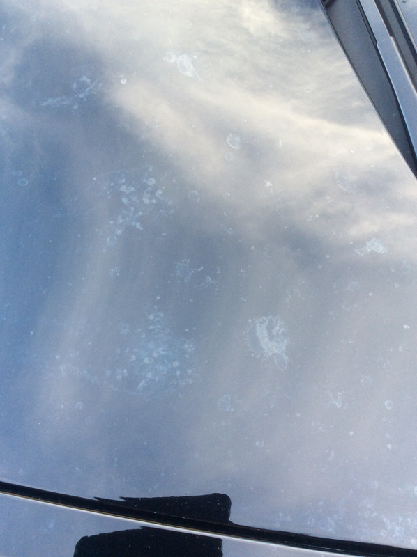 54B96592-350E-43A1-87E6-F410FE2F20D1