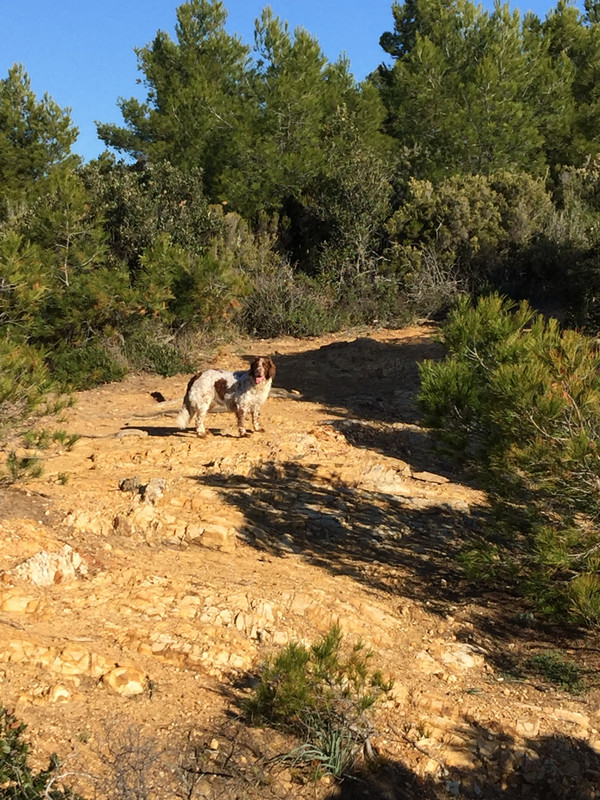 AFC00424-E222-4B42-B7B4-804D45557CDF