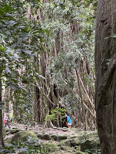 [Linked Image from i.postimg.cc]