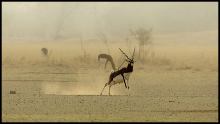 [Image: c8sv1wdg31xa.png]