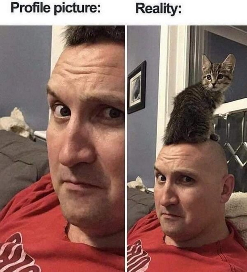https://i.postimg.cc/pWJ22NNw/jn2lxfr-redimensionner.jpg